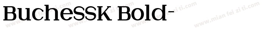 BucheSSK Bold字体转换